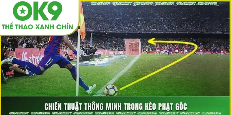Chiến thuật soi kèo phạt góc hiệu quả Chiến thuật soi kèo phạt góc hiệu quả